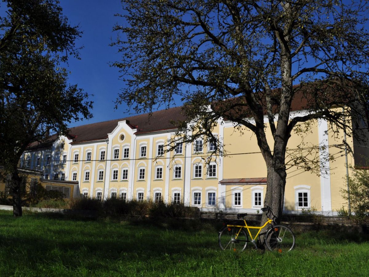 Sammlung Lettner in den&nbsp;Medien