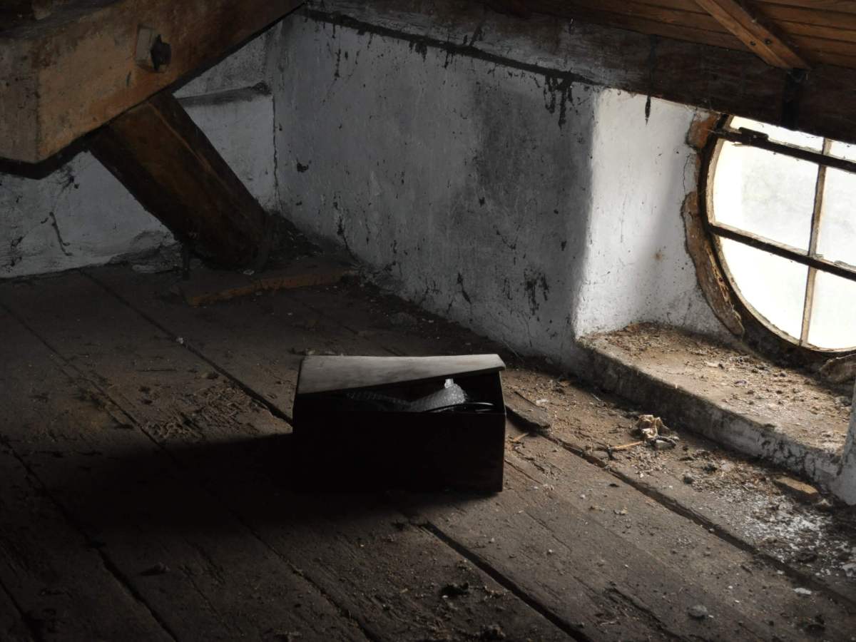 Lohmann: Mehr Power fürs&nbsp;Rad